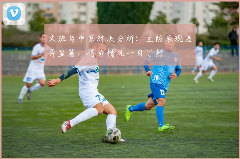 文班与申京对决分析：主防表现差异显著，得分情况一目了然